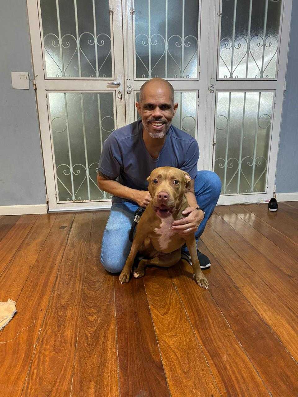 Adestramento Landing Image